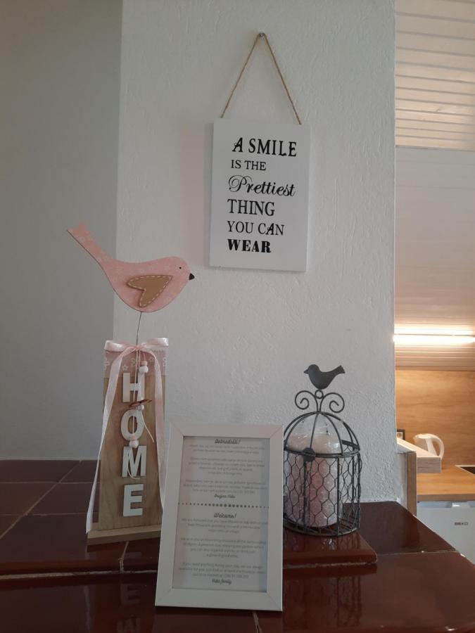 Apartment Vidic *