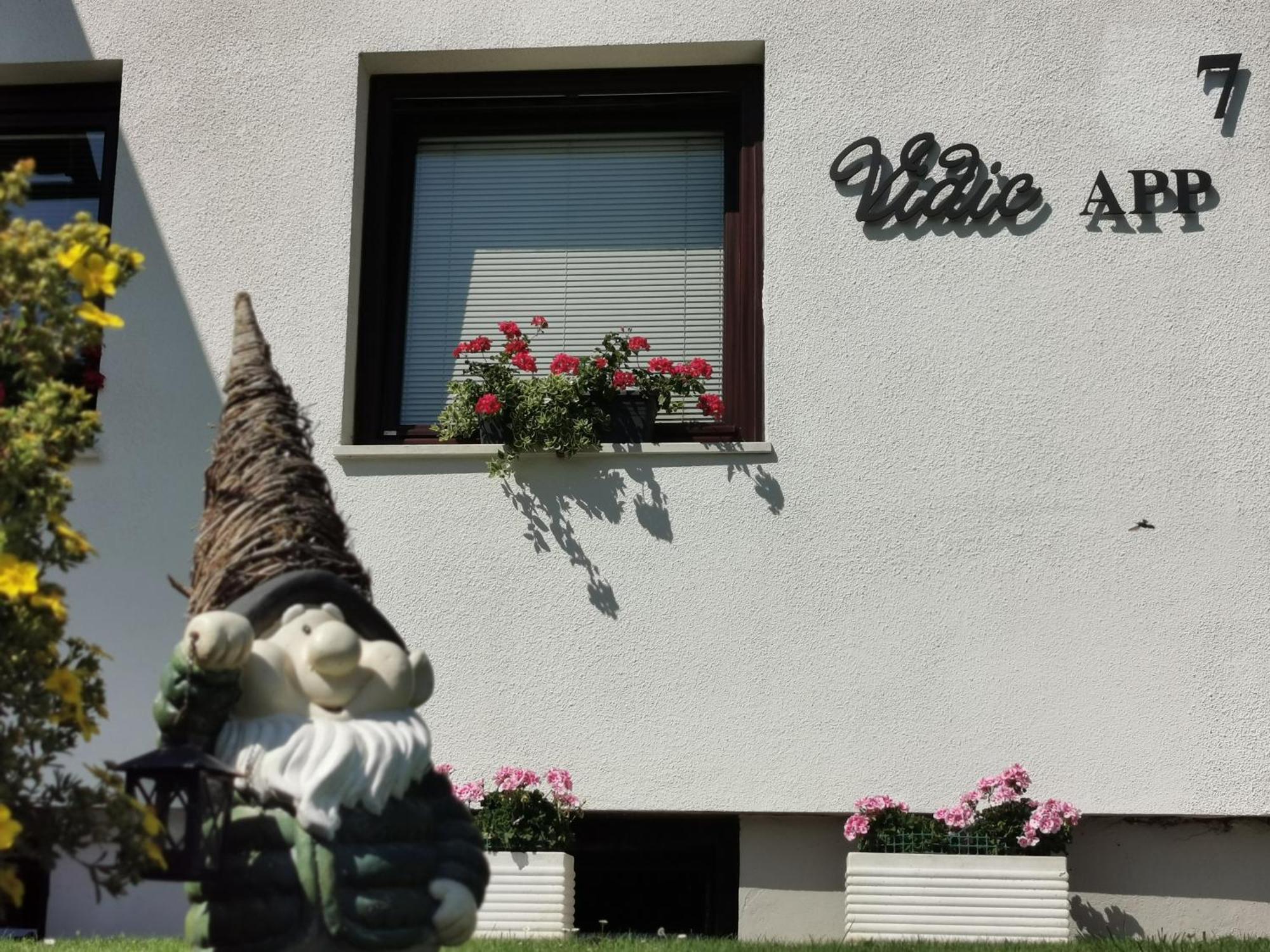 Vidic Apartment